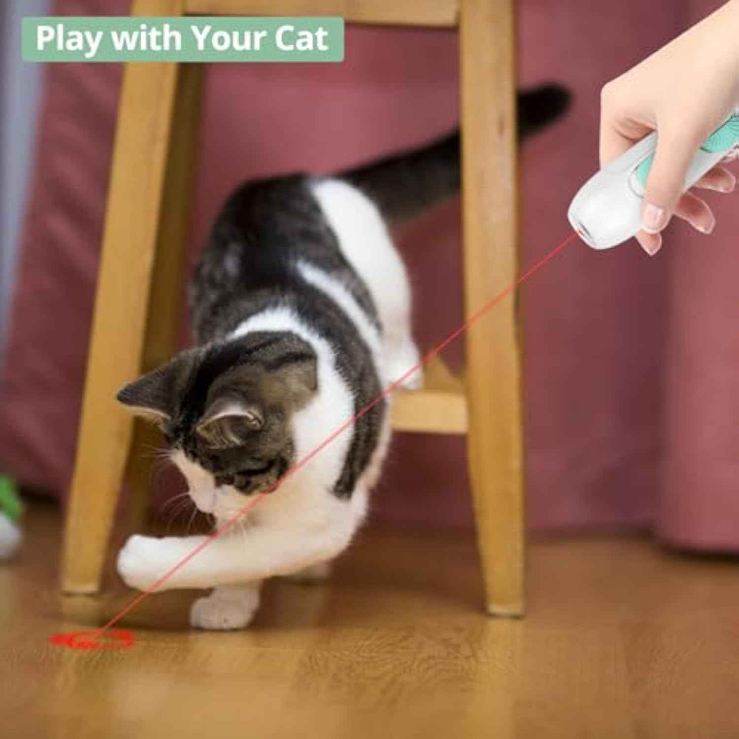 2-in-1 Laser & Feather Toy Cats Go Crazy For!
