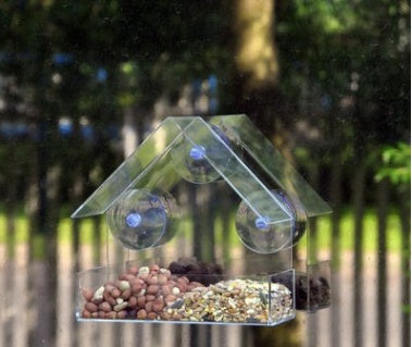 Bring Birds To Your Window – Best Seller Feeder!