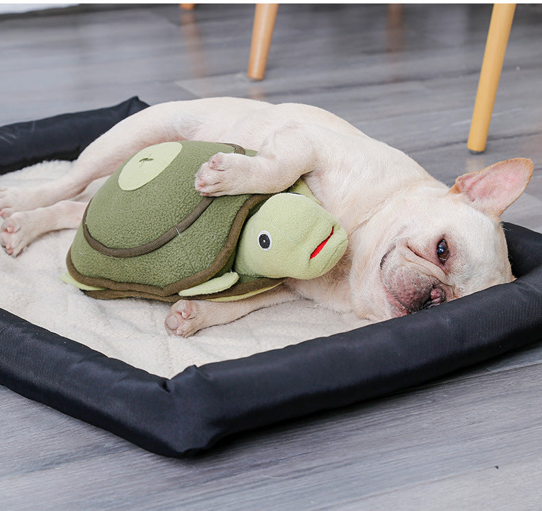 Sniff, Search & Play – Tortoise Puzzle Dogs Adore!