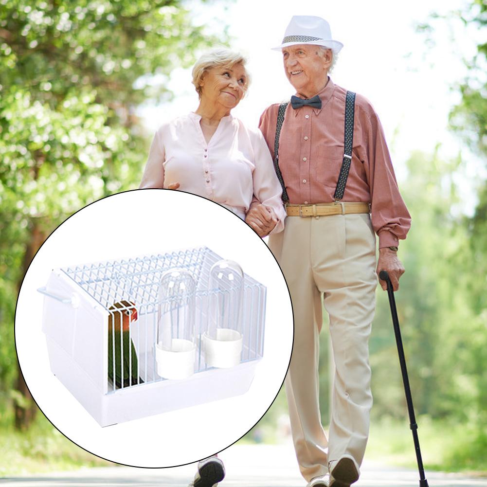 Adventure Outside The Cage – Safe Fun For Pet Birds!