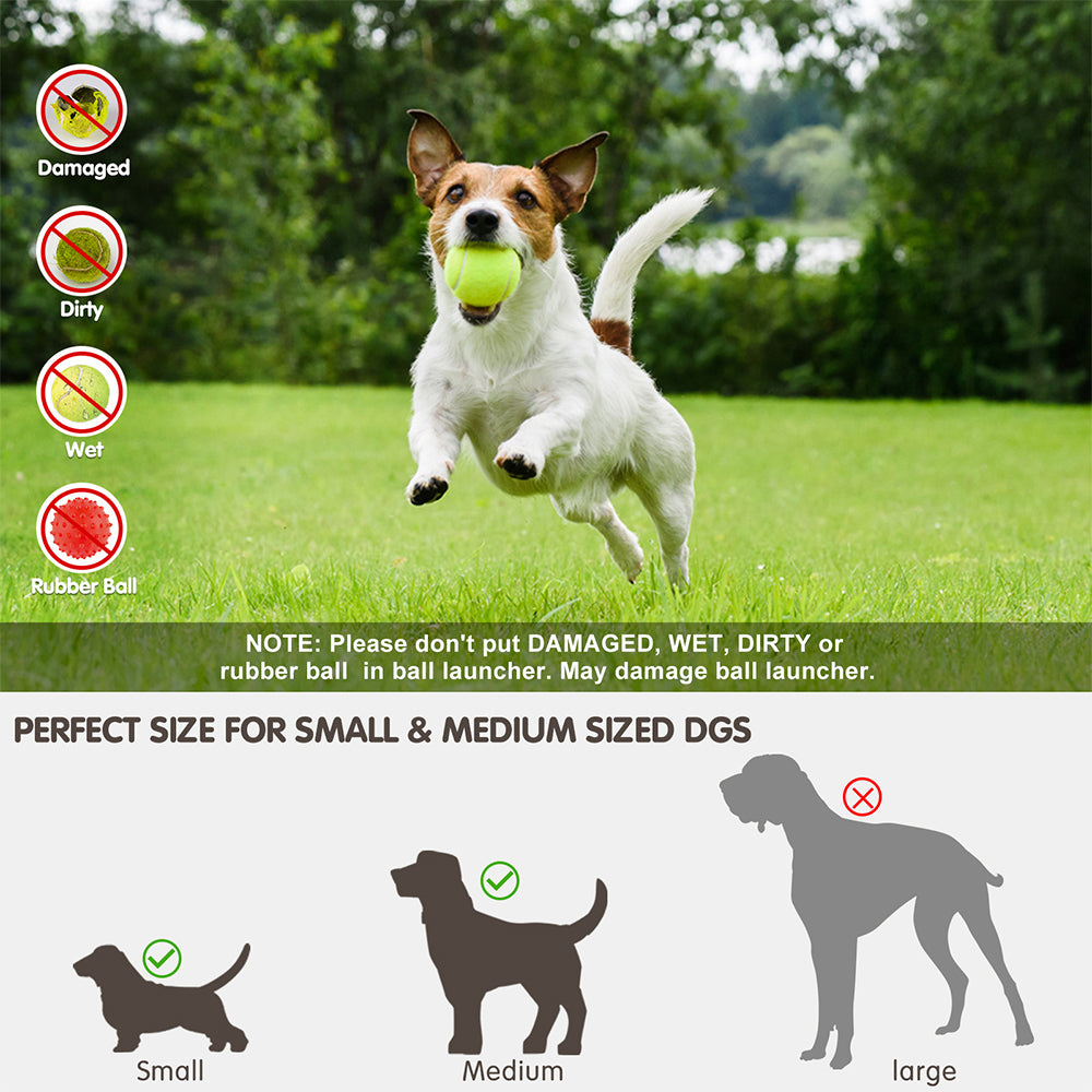 Automatic Ball Launcher – Endless Fetch Fun For Dogs!