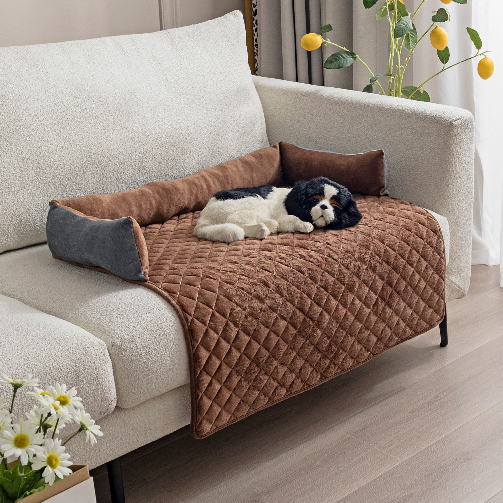 Cozy Dog Sofa Bed – Luxury Your Pet Deserves!