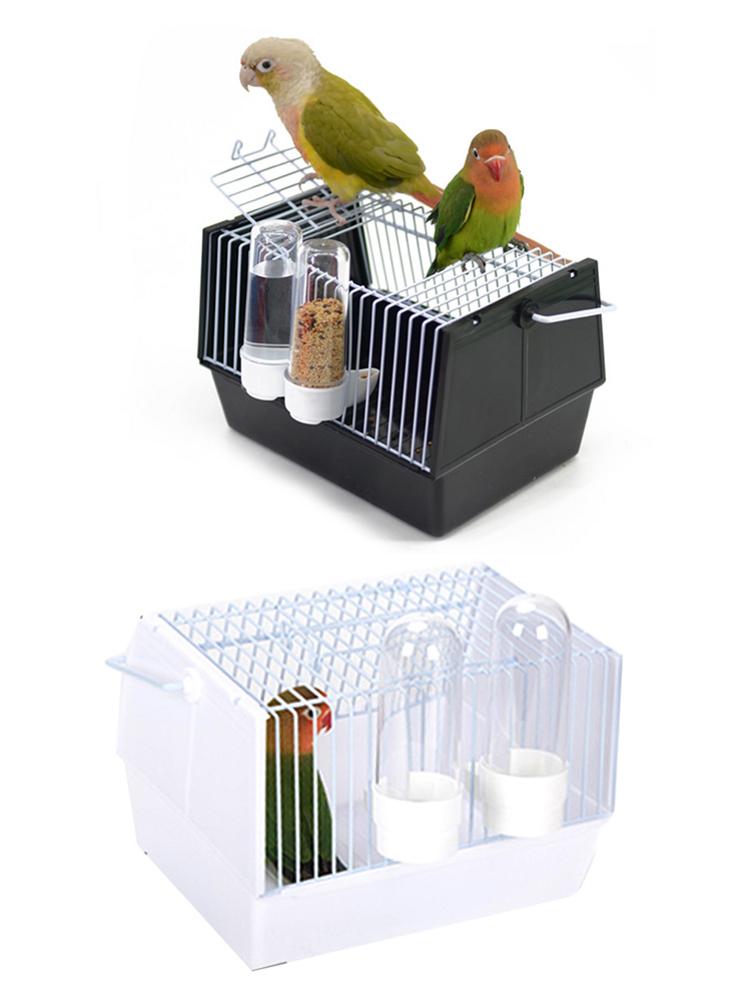 Adventure Outside The Cage – Safe Fun For Pet Birds!