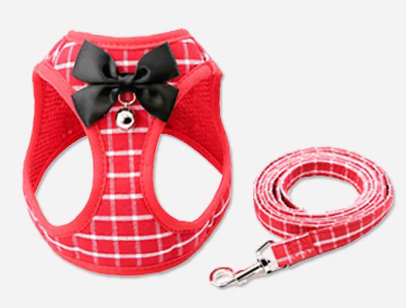 Safe & Comfy Cat Harness Set For Happy Walks!