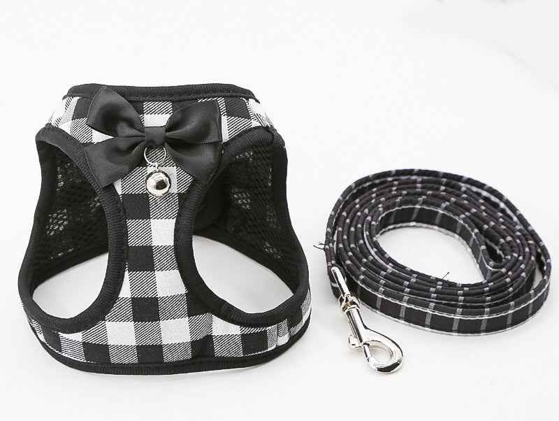 Safe & Comfy Cat Harness Set For Happy Walks!