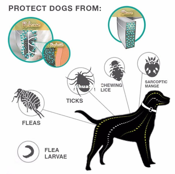 Protect Your Pet From Fleas & Ticks – Premium Collar!