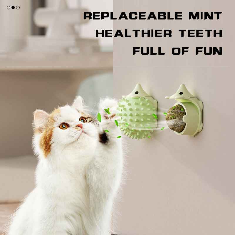 Self-Grooming Cat Brush – Your Kitty Will Love It!