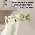 Self-Grooming Cat Brush – Your Kitty Will Love It!