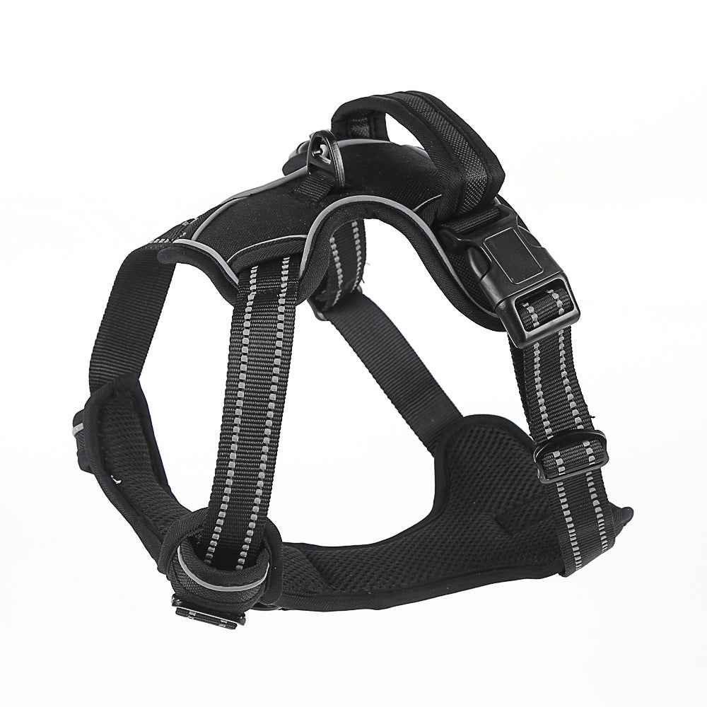Walk Your Dog, Not the Other Way Around!