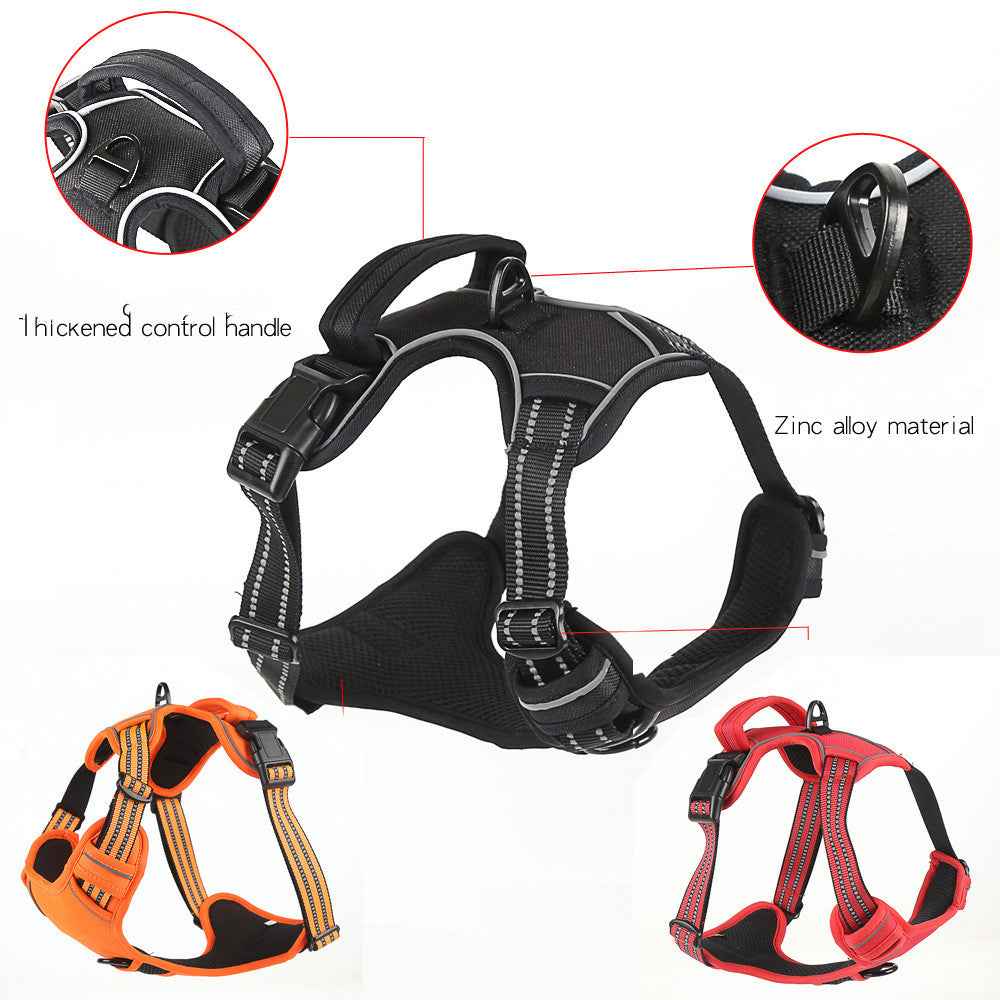 Walk Your Dog, Not the Other Way Around!