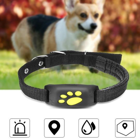 Never Lose Your Pet Again – GPS Pet Tracker!