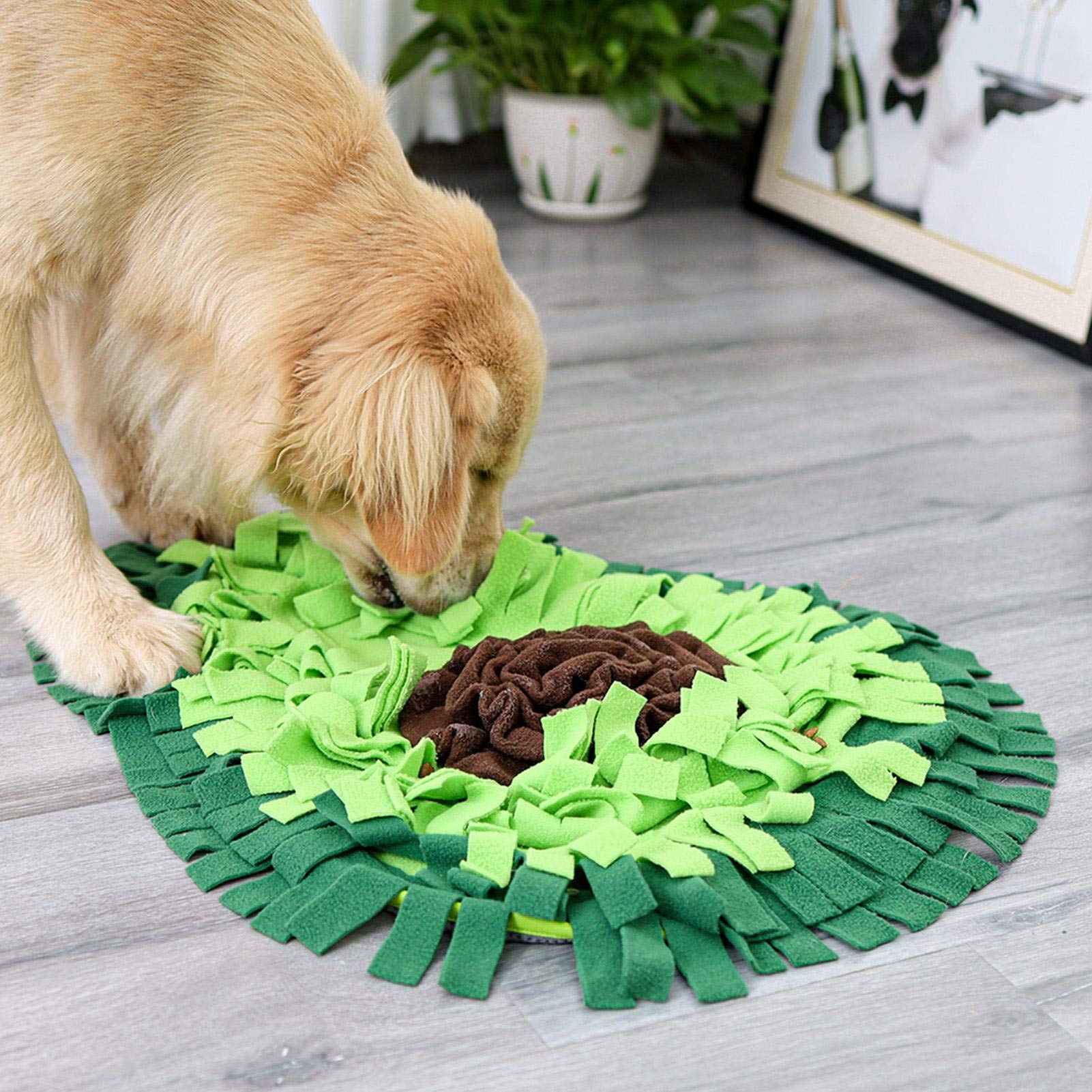 Snuffle Mat – Turn Mealtime Into Fun Brain Games!