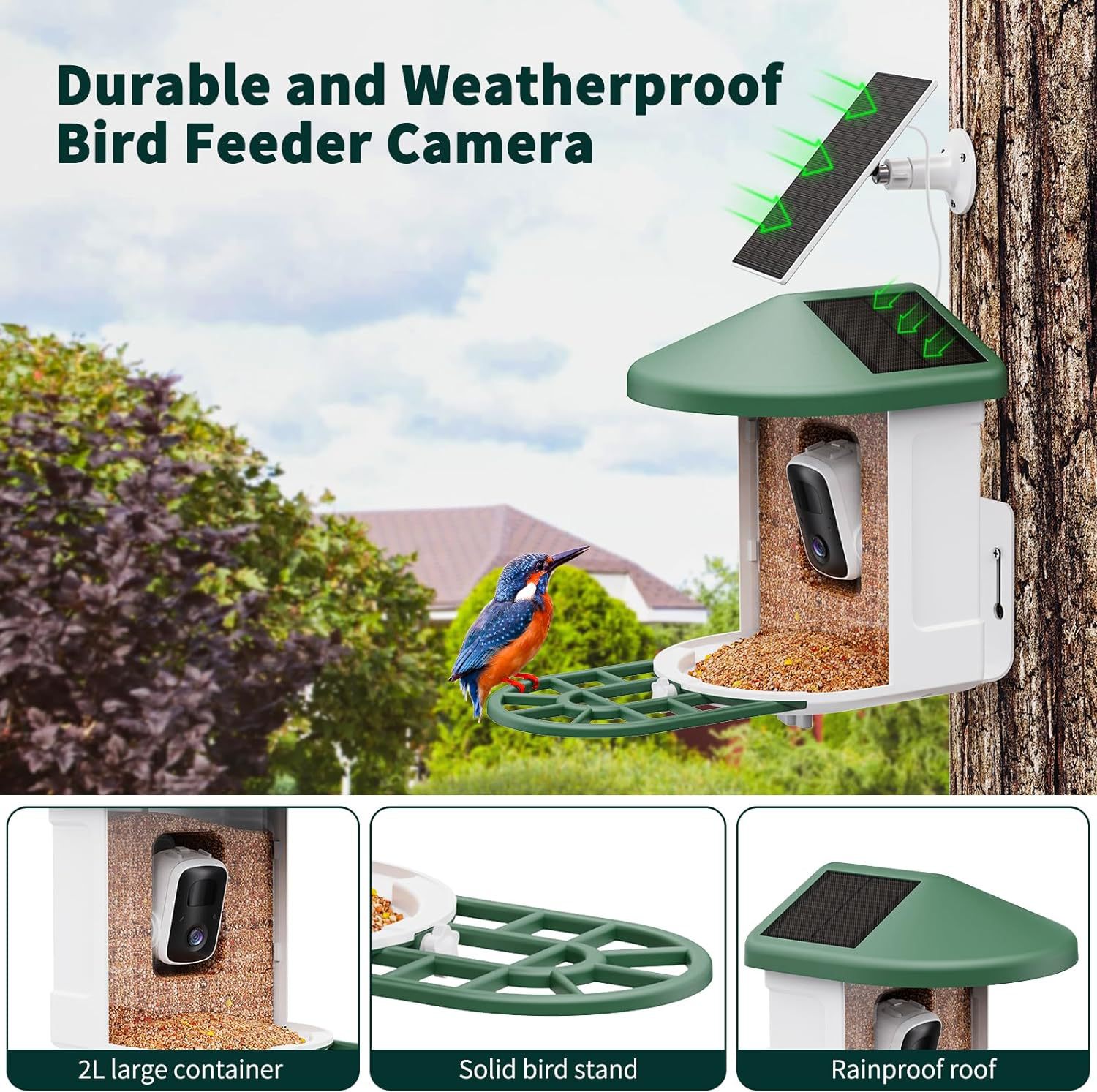 Smart Pet Feeder With Camera – Feed & Watch Anywhere!