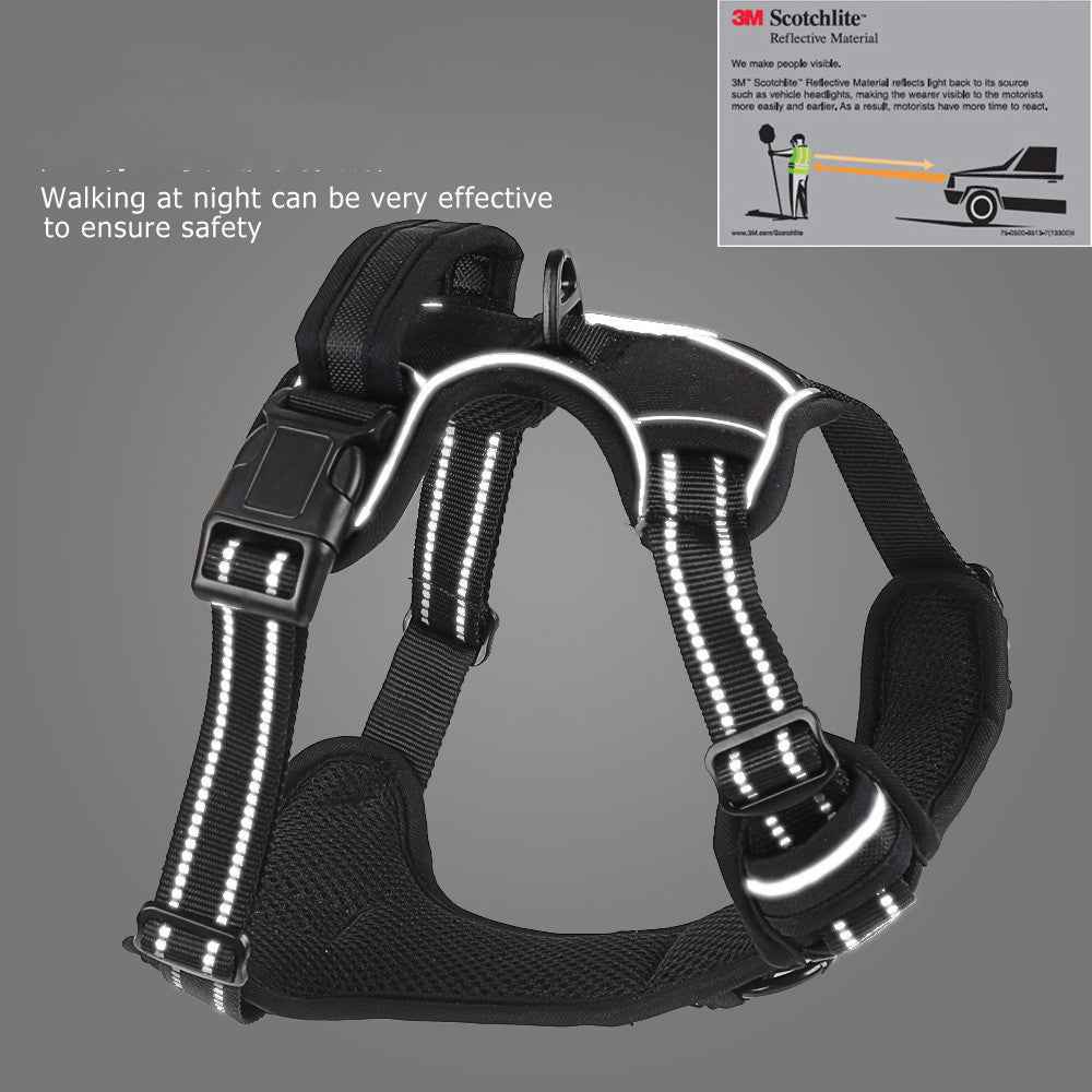 Walk Your Dog, Not the Other Way Around!