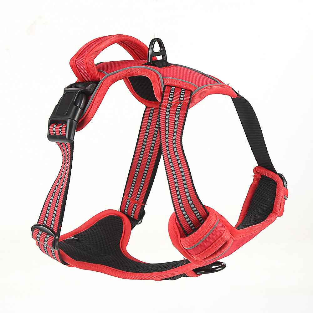 Walk Your Dog, Not the Other Way Around!