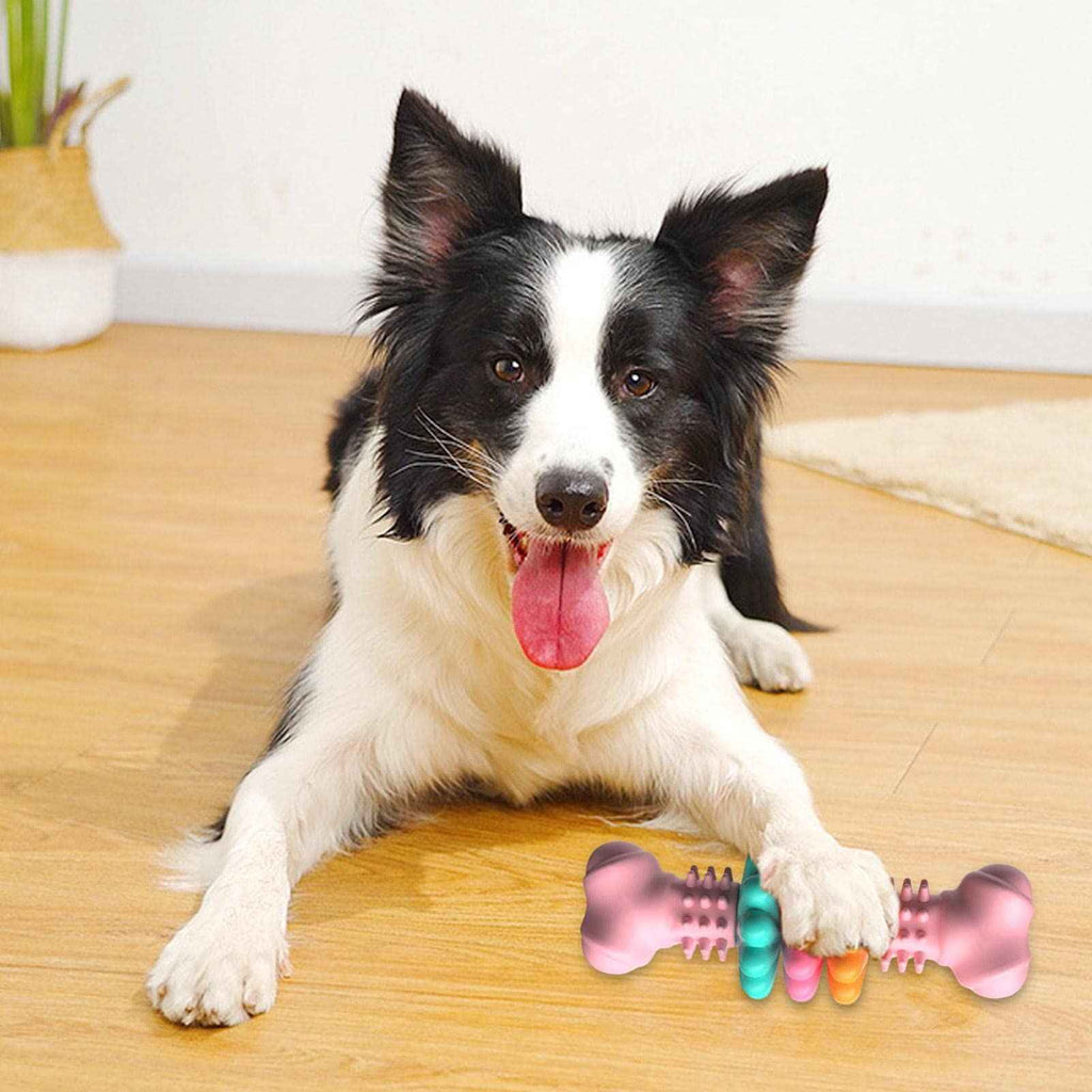 Clean Teeth & Endless Fun – Dog Bone Toy!
