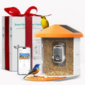 Smart Pet Feeder With Camera – Feed & Watch Anywhere!