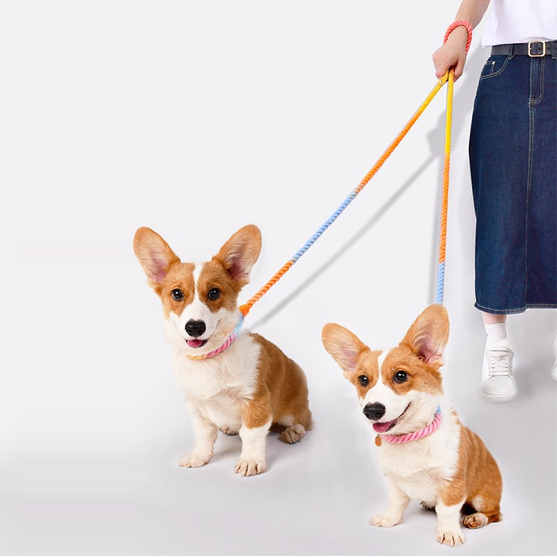 Walk Two Dogs Easily With This Dual Head Leash!