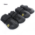 Protect Your Dog's Paws – Waterproof Booties They'll Love!