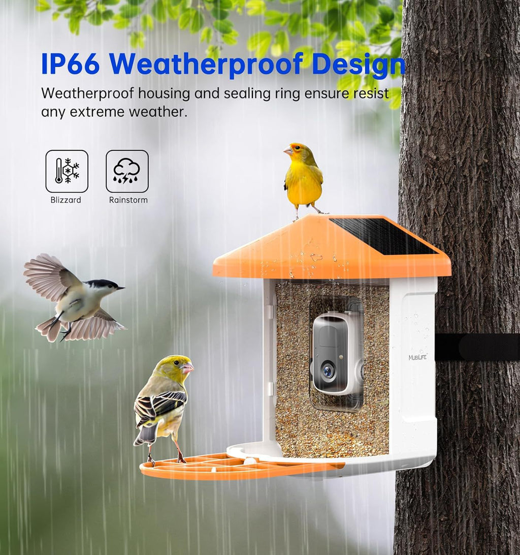 Smart Pet Feeder With Camera – Feed & Watch Anywhere!