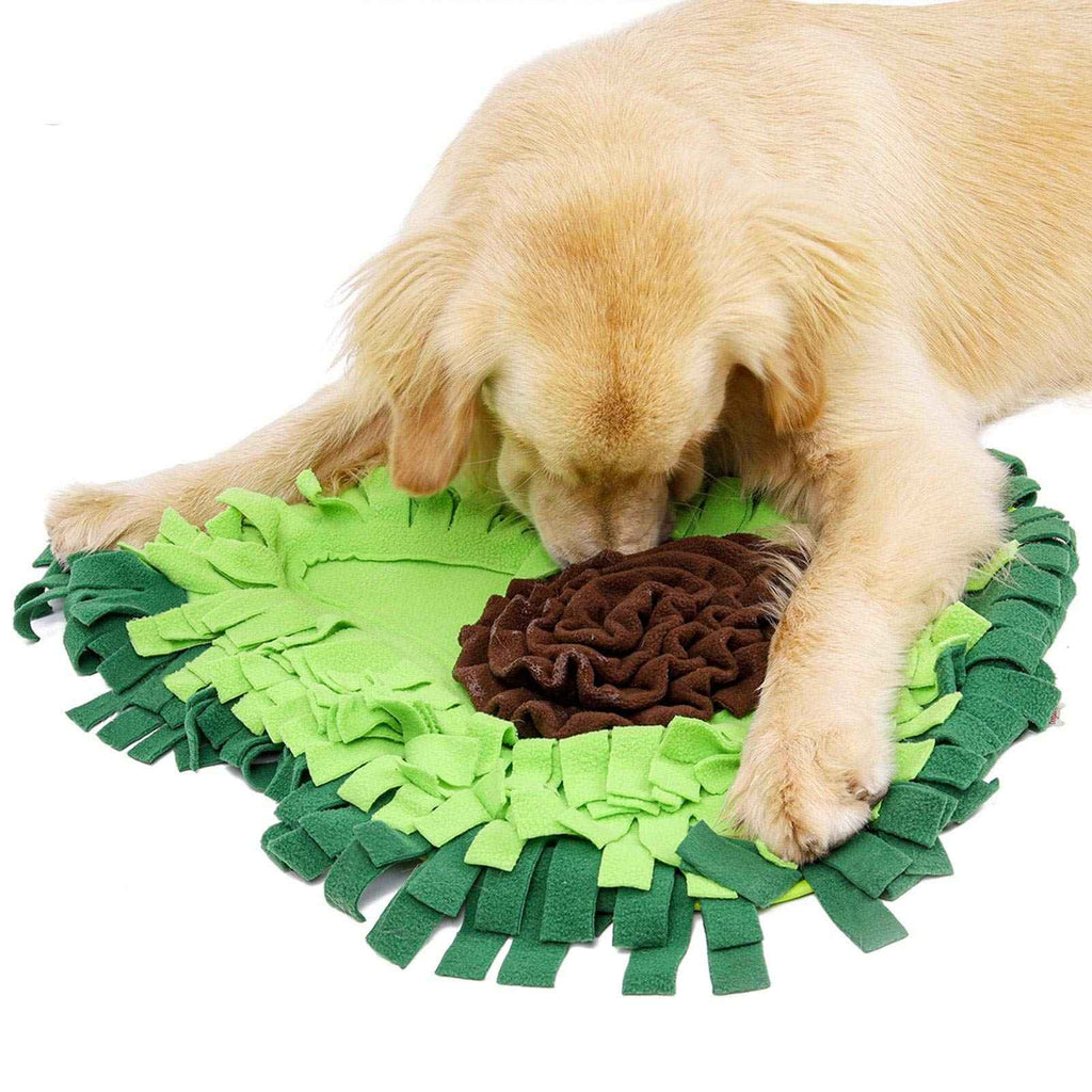 Snuffle Mat – Turn Mealtime Into Fun Brain Games!