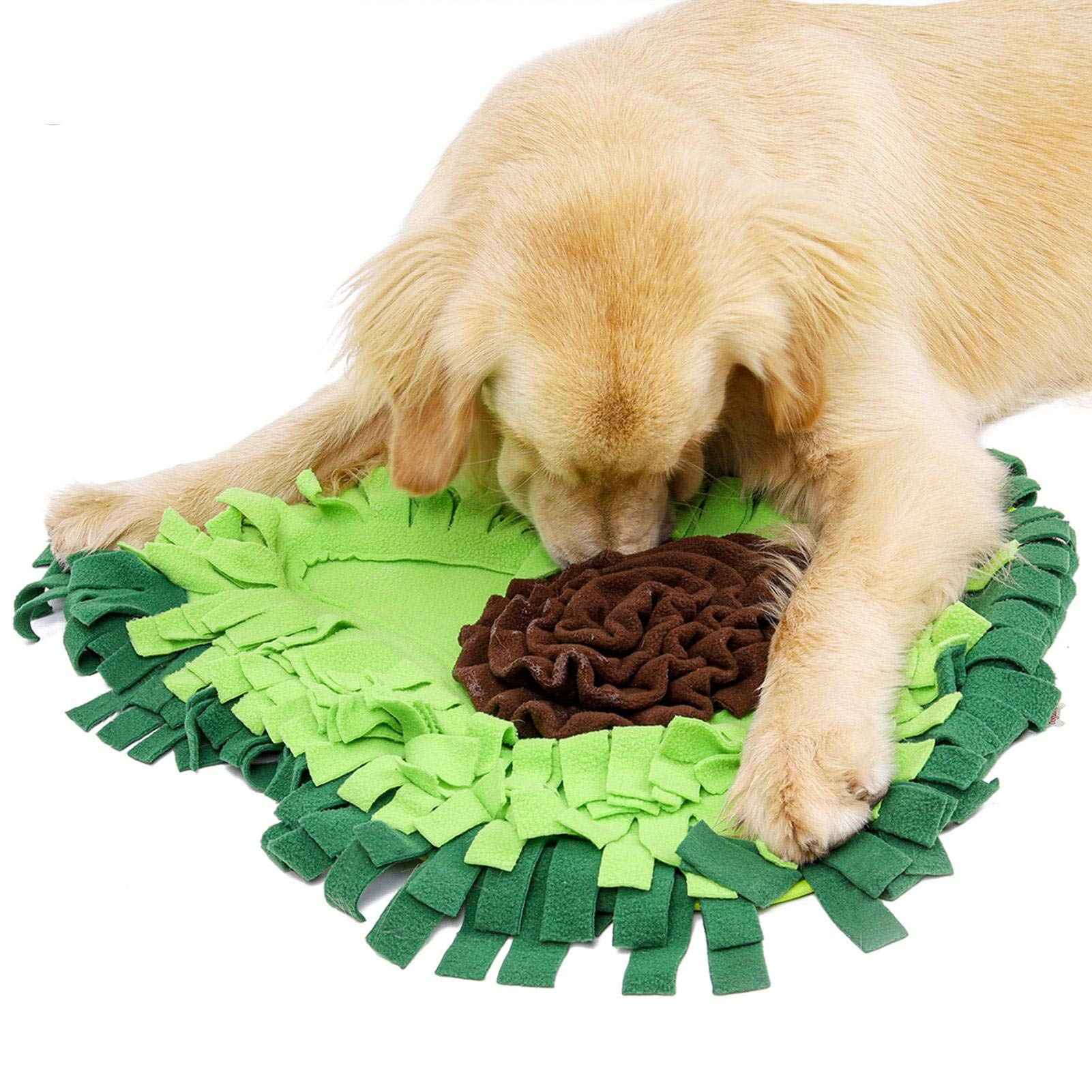 Snuffle Mat – Turn Mealtime Into Fun Brain Games!