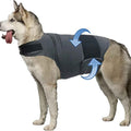 Calm Your Anxious Dog Instantly With This Thunder Vest!