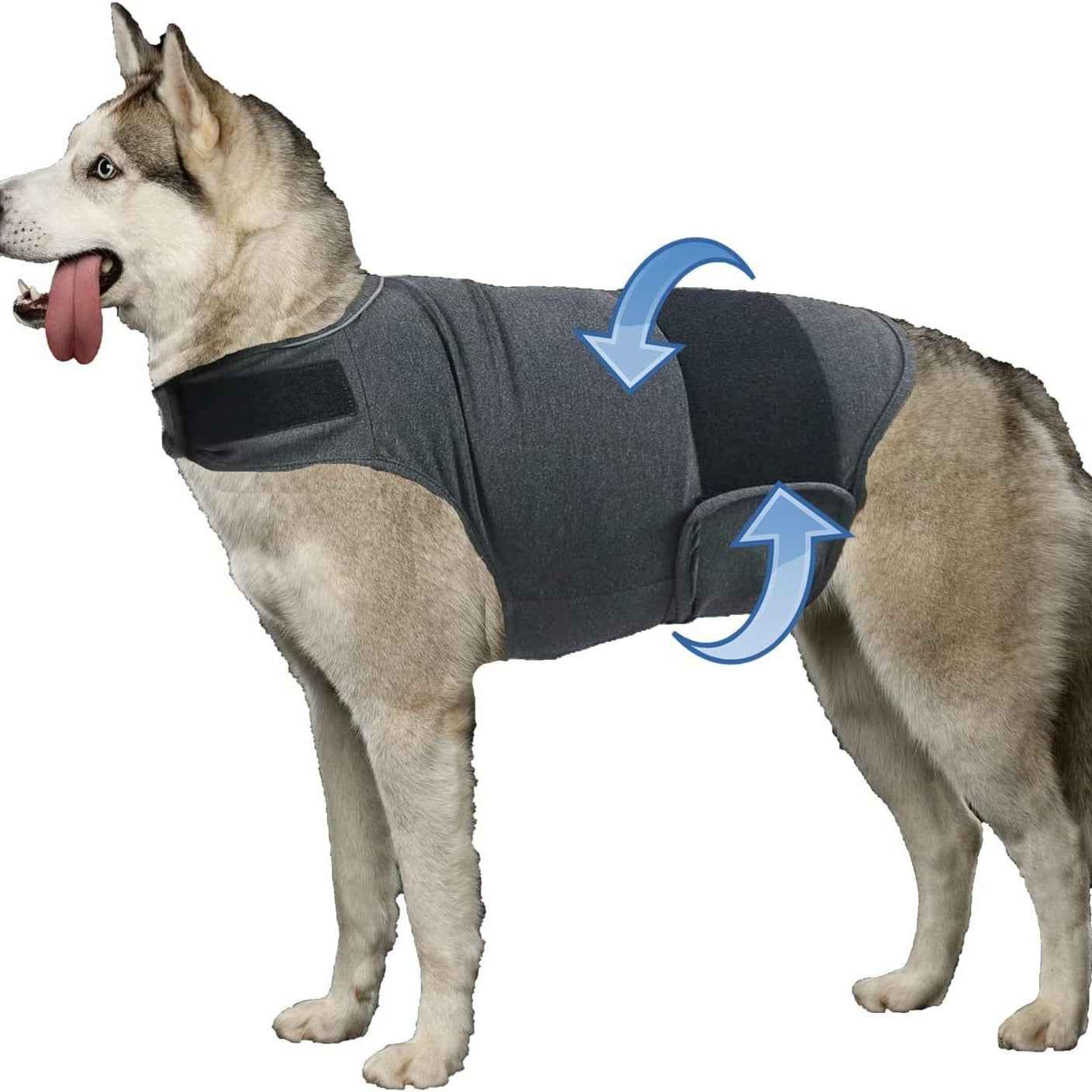 Calm Your Anxious Dog Instantly With This Thunder Vest!