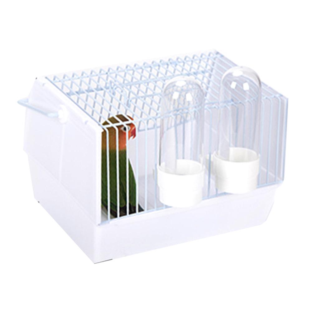 Adventure Outside The Cage – Safe Fun For Pet Birds!