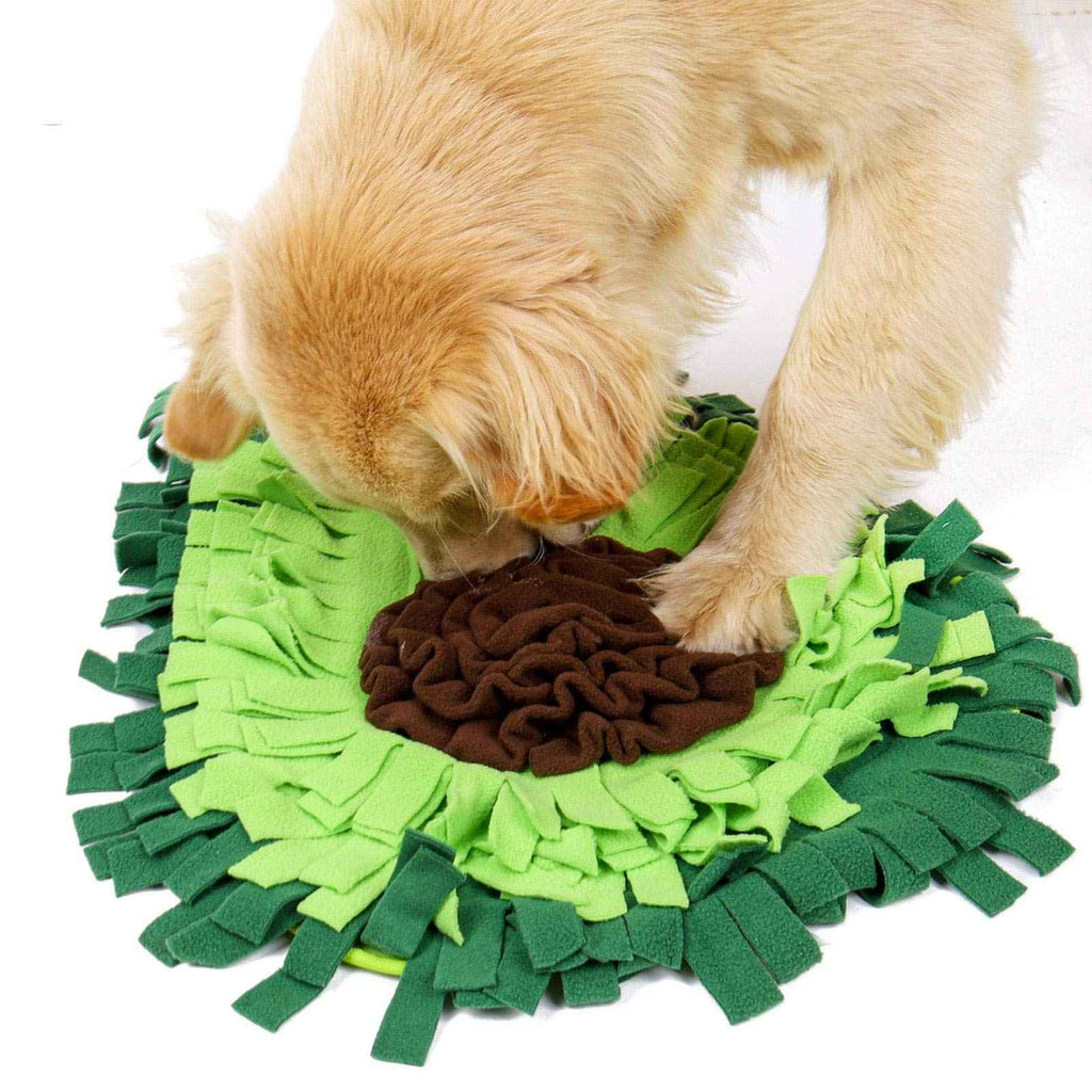 Snuffle Mat – Turn Mealtime Into Fun Brain Games!