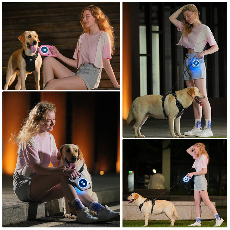 Light Up Night Walks – LED Retractable Dog Leash!