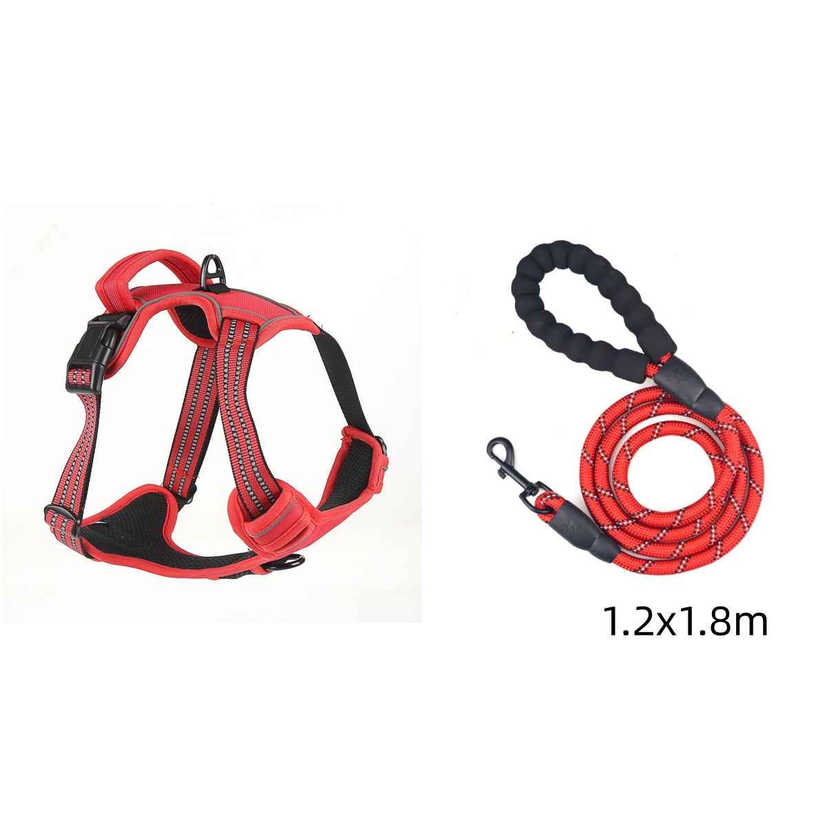 Walk Your Dog, Not the Other Way Around!