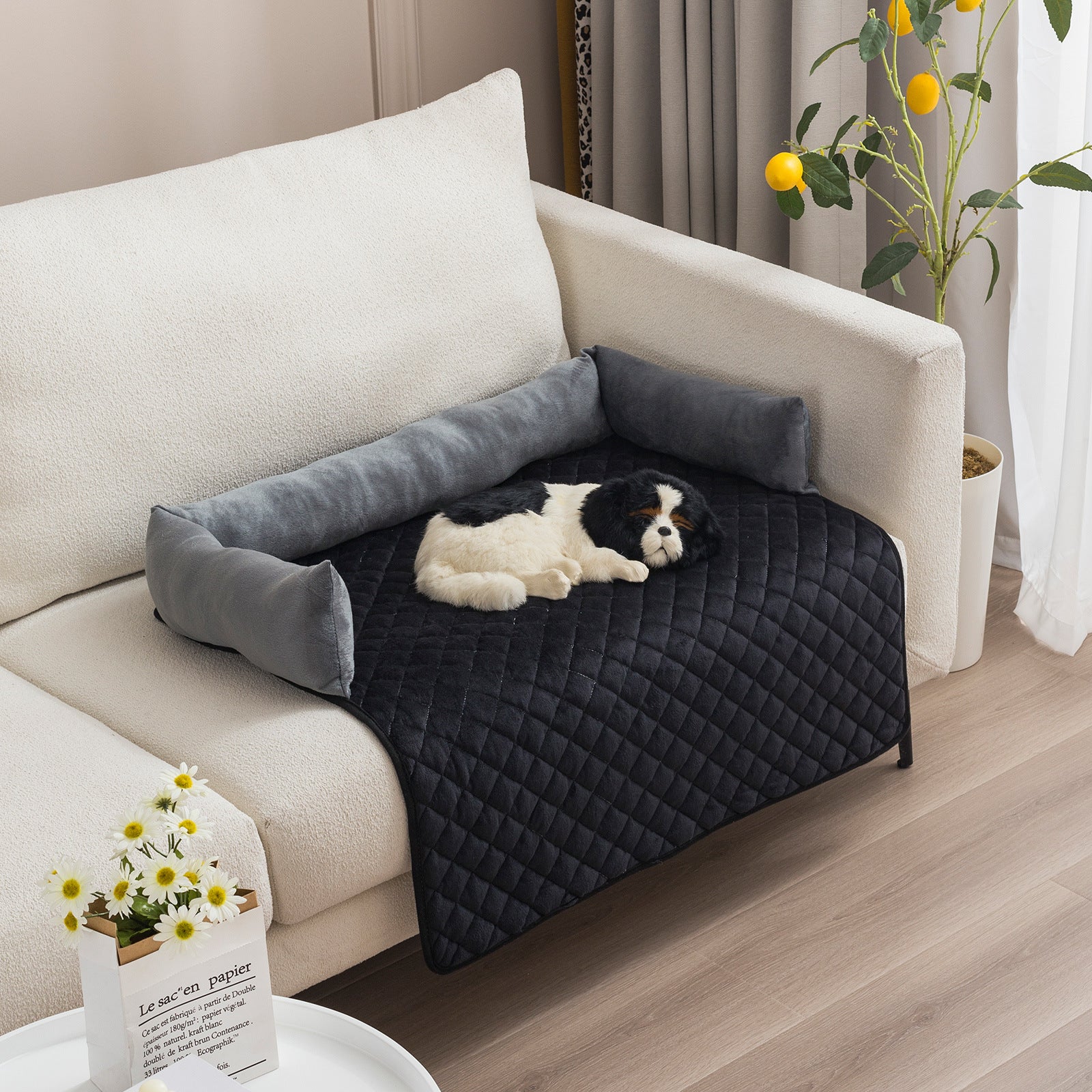 Cozy Dog Sofa Bed – Luxury Your Pet Deserves!