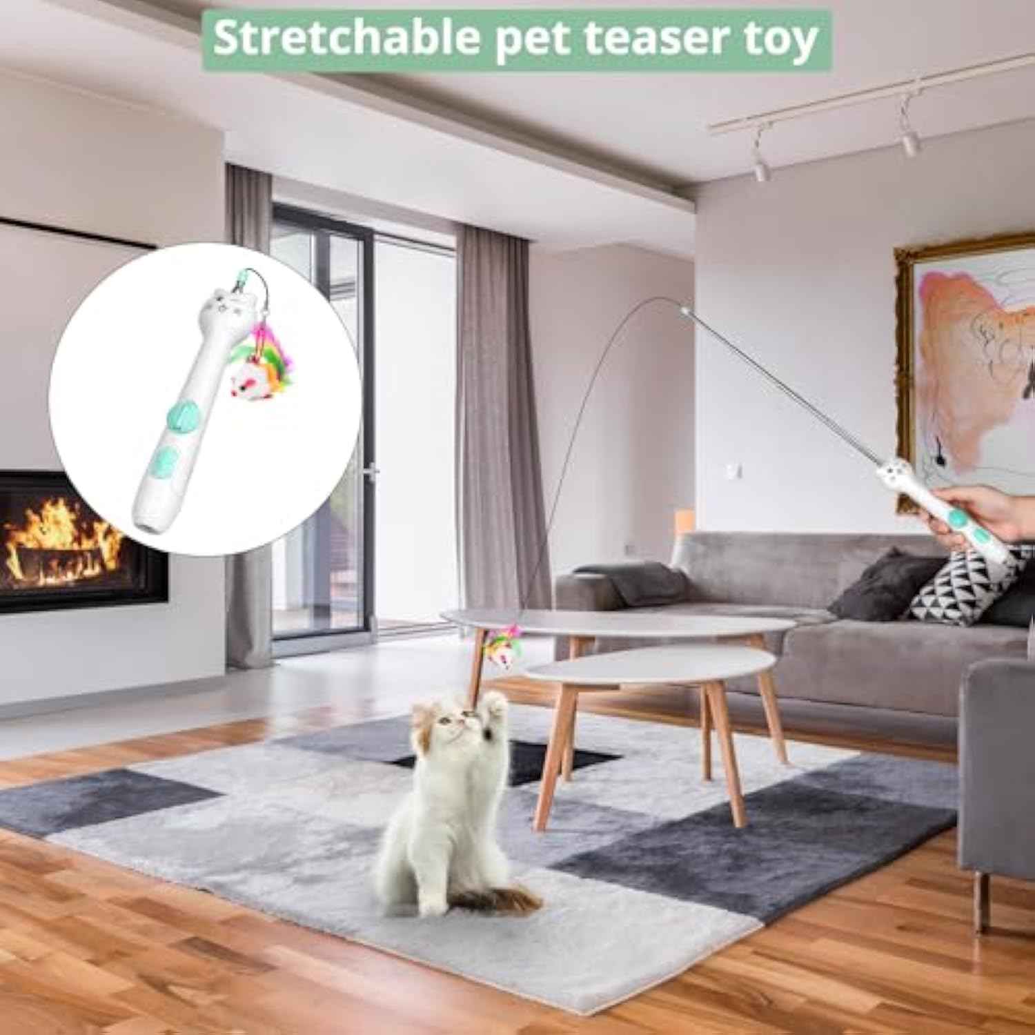 2-in-1 Laser & Feather Toy Cats Go Crazy For!