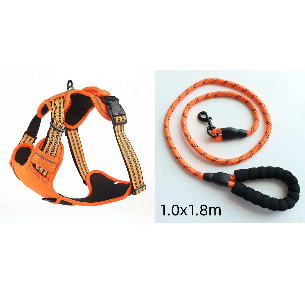 Walk Your Dog, Not the Other Way Around!