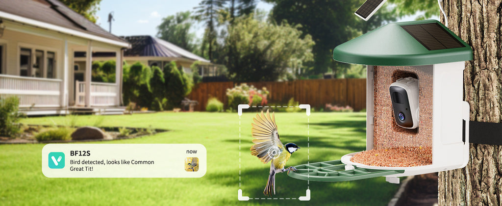 Smart Pet Feeder With Camera – Feed & Watch Anywhere!