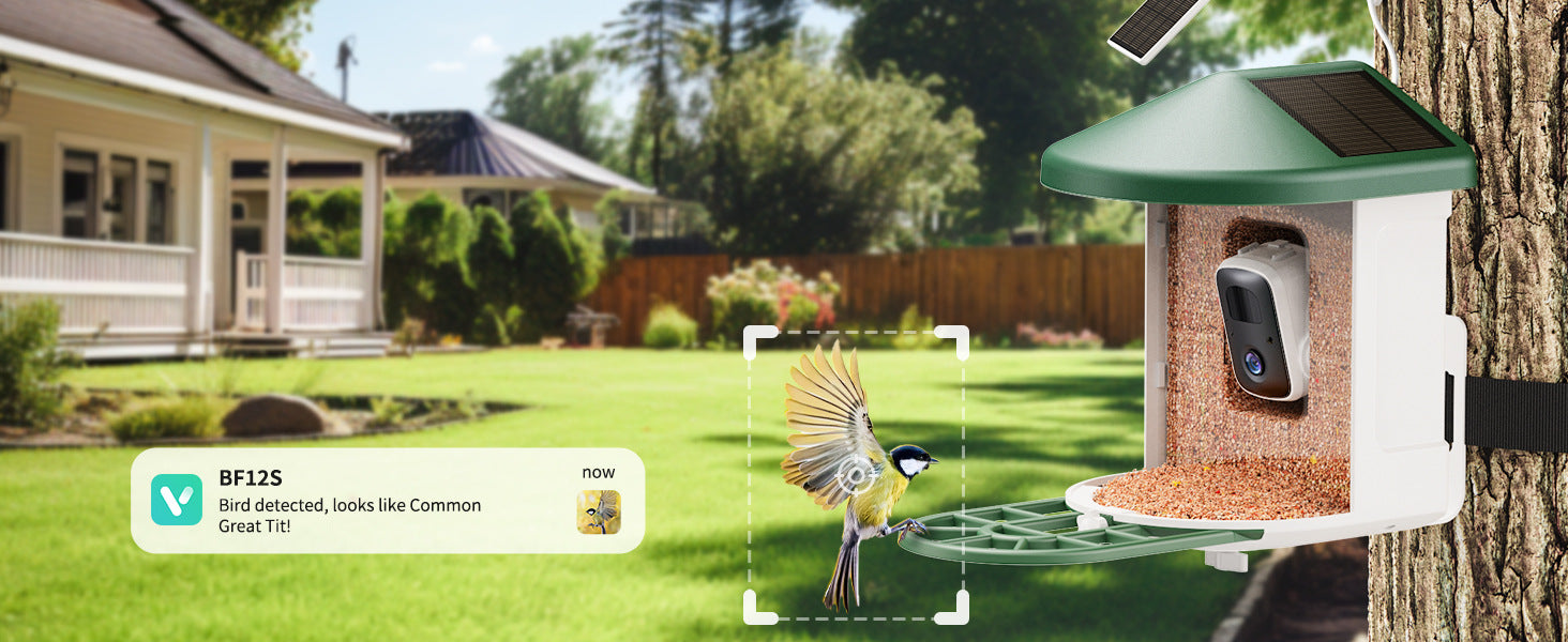 Smart Pet Feeder With Camera – Feed & Watch Anywhere!