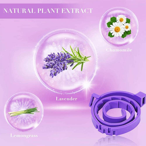 Calm Your Anxious Pet Instantly – Soothing Calming Collar!