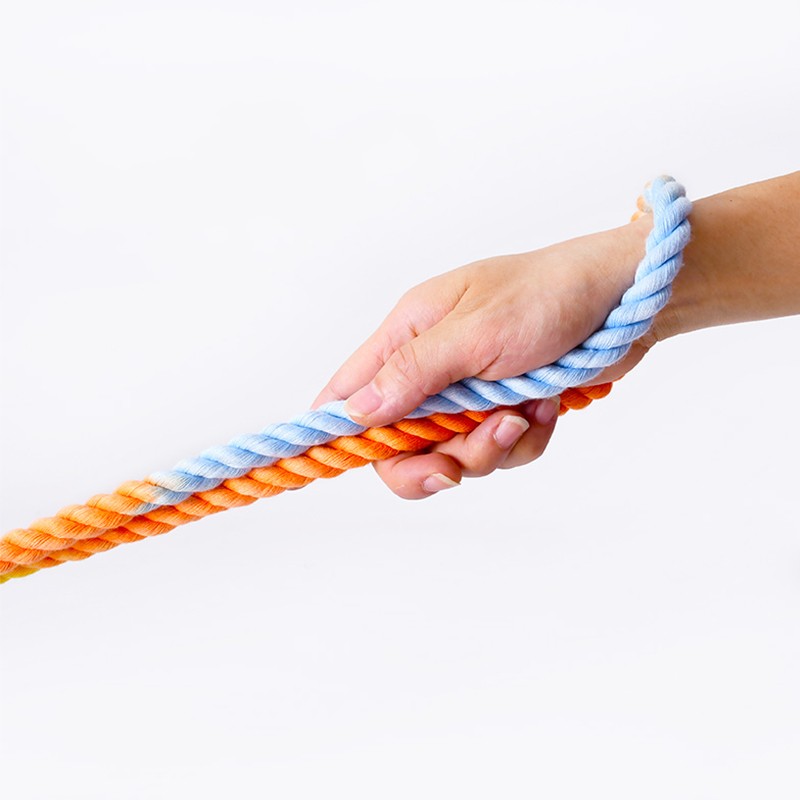 Walk Two Dogs Easily With This Dual Head Leash!