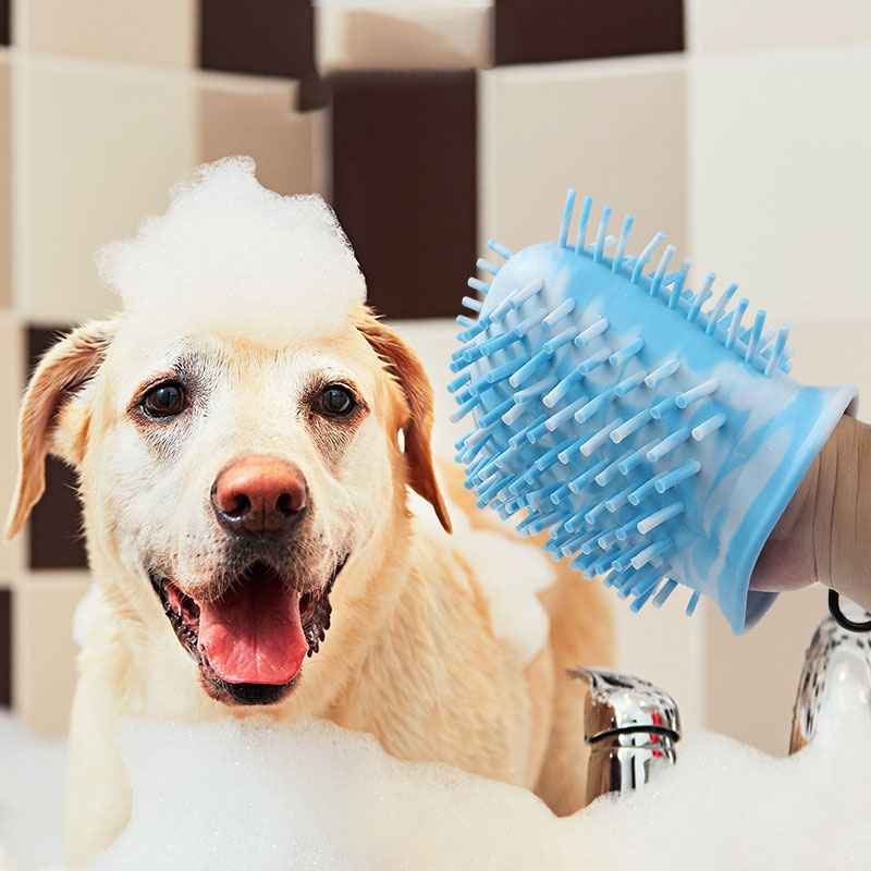 Muddy Paws? Clean in Seconds With This Cup!