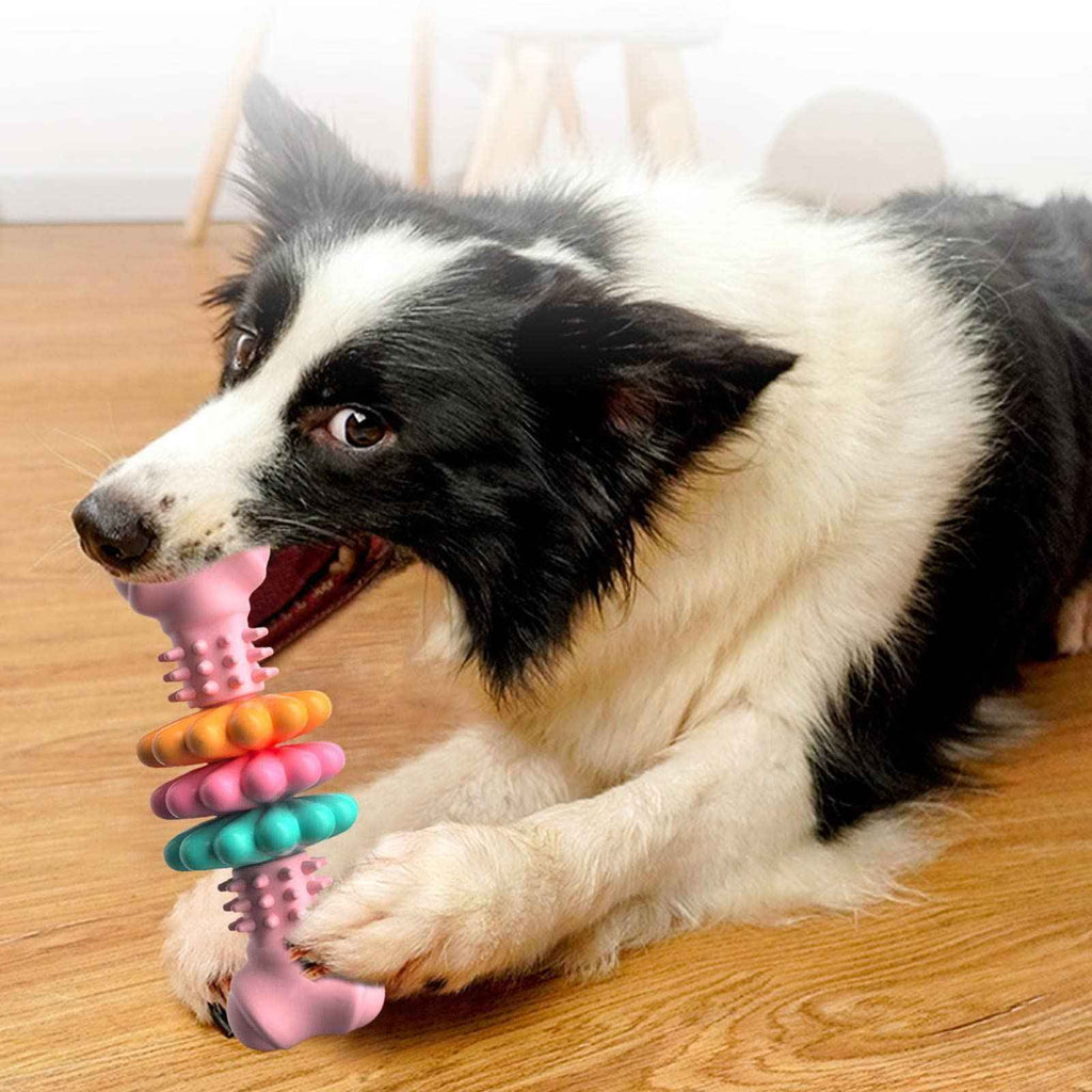 Clean Teeth & Endless Fun – Dog Bone Toy!
