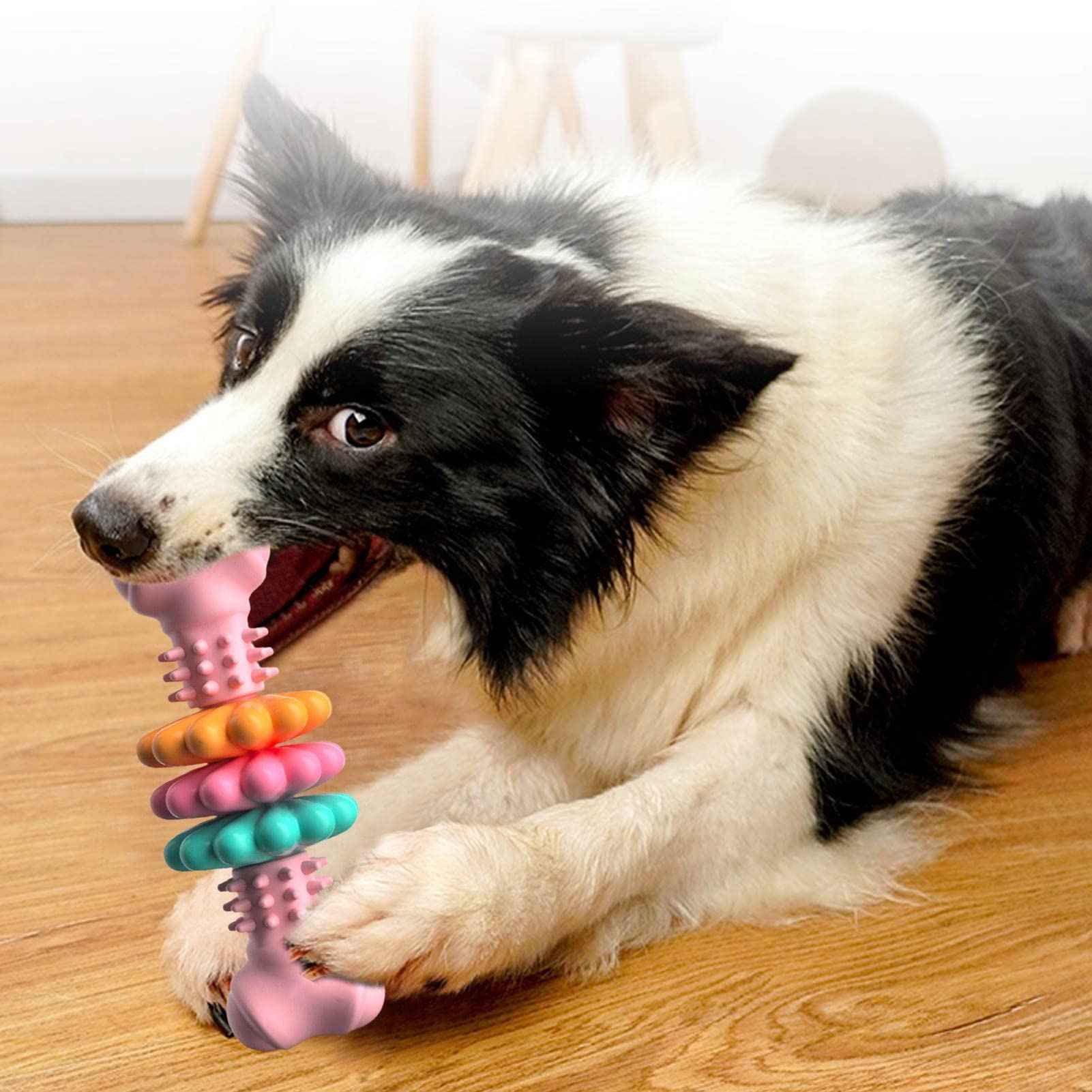 Clean Teeth & Endless Fun – Dog Bone Toy!