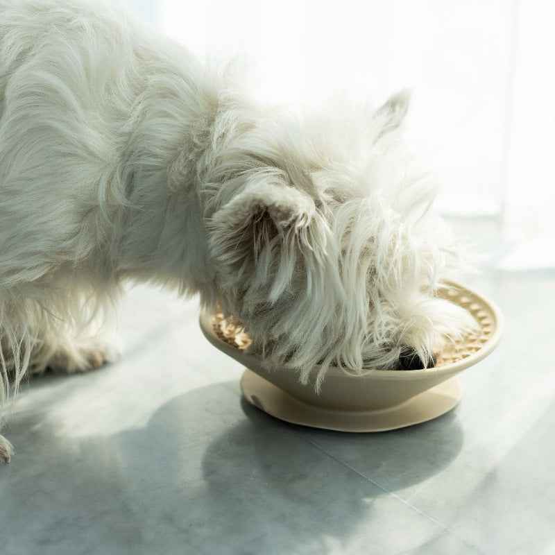 Bye Bye Bloat — Slow Feeder Mat for Healthy Dogs