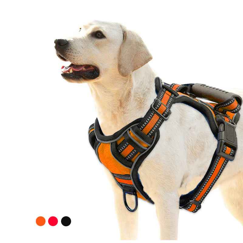Walk Your Dog, Not the Other Way Around!