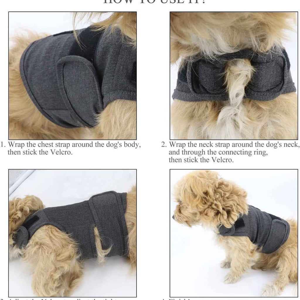 Calm Your Anxious Dog Instantly With This Thunder Vest!