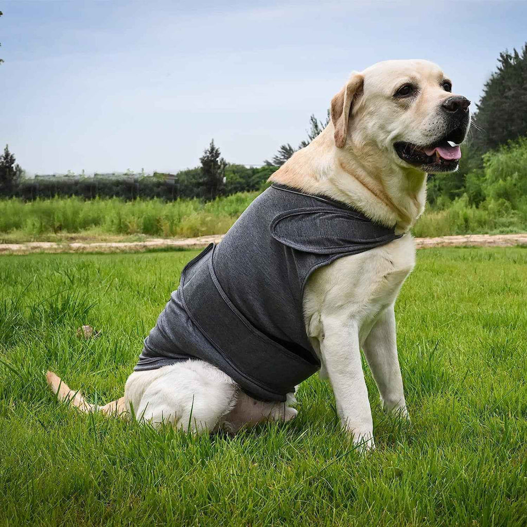 Calm Your Anxious Dog Instantly With This Thunder Vest!