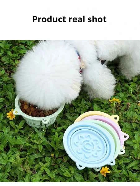 3-in-1 Collapsible Pet Bowl – Adventures Made Easy!